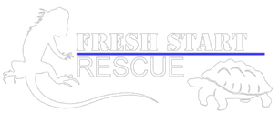 Fresh Start Rescue